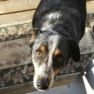 Meet your Posher, Tina